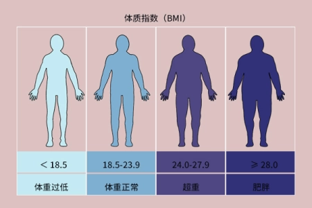体重越轻越好？医生告诉你：体重过轻，健康问题风险会增加(体重轻了身体会瘦吗)